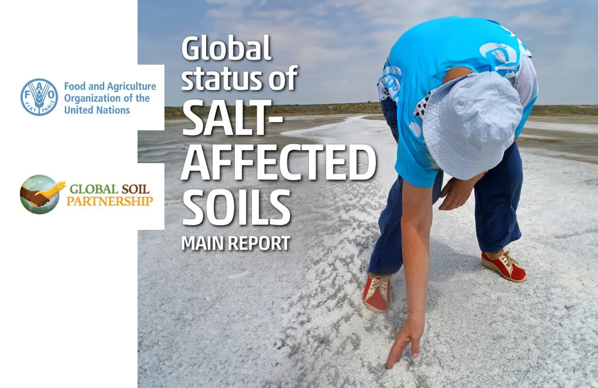 FAO Global Status of Salt-affected Soils : Main Report with the participation of the NSC ISSAR