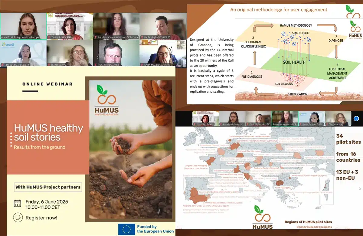 Webinar of participants of the project "Healthy Municipal Soils"